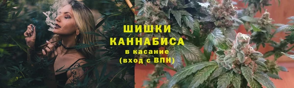 spice Коряжма