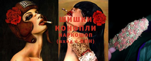 spice Коряжма