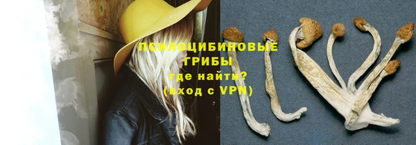 spice Коряжма
