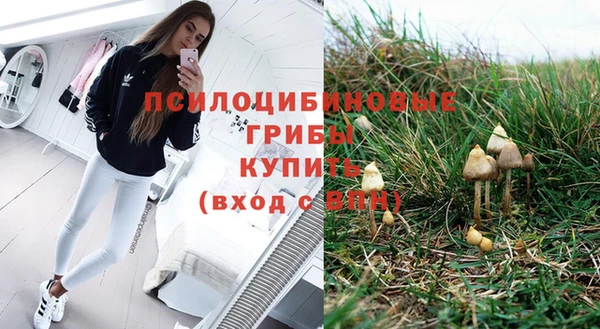 spice Коряжма
