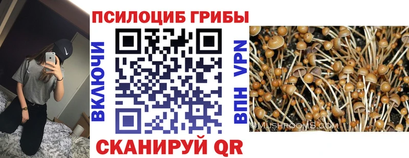 Галлюциногенные грибы Cubensis  Щёлково 